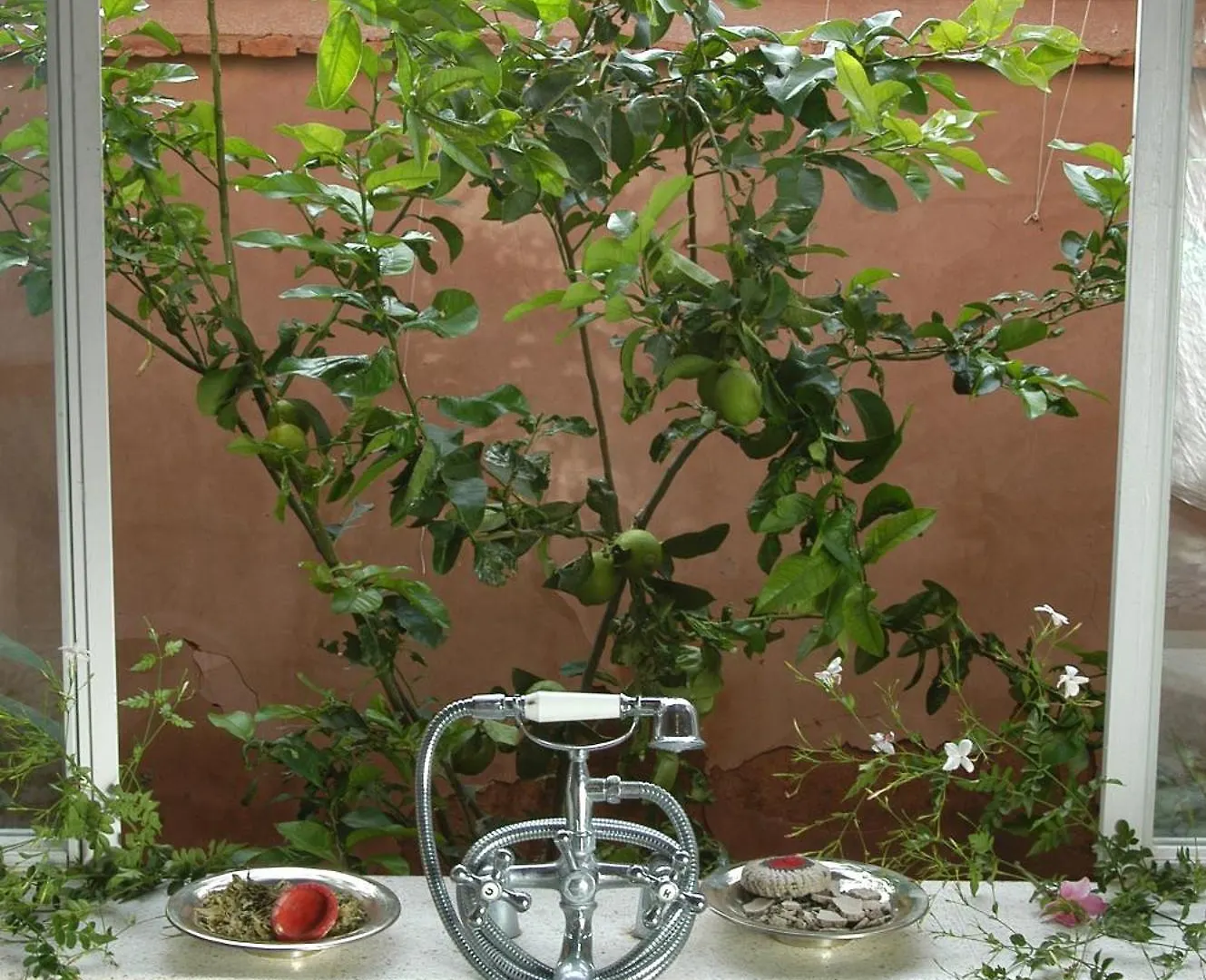 Le Bled Ferme Bed & Breakfast Lahebichate