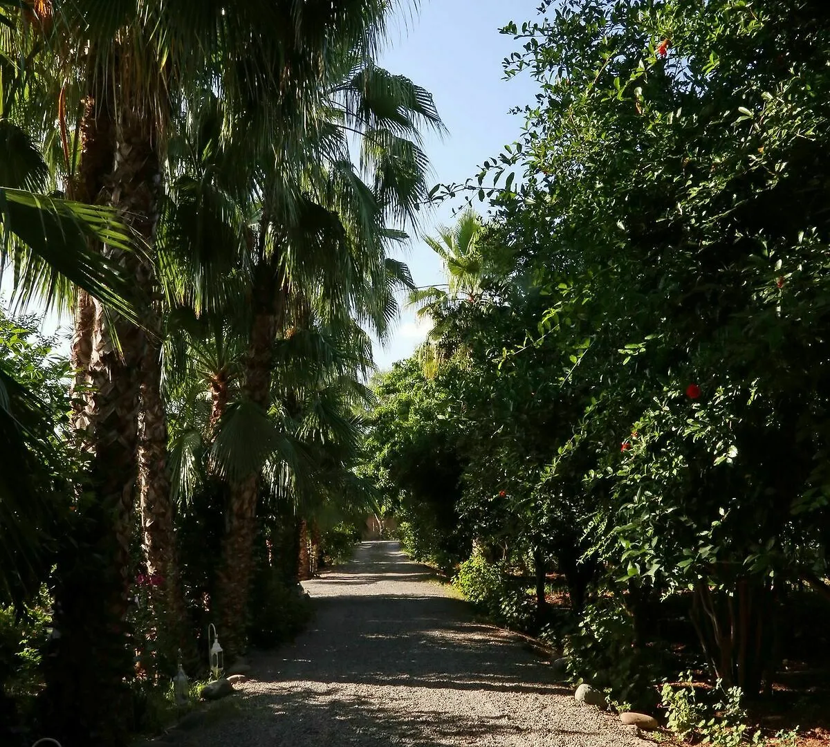 Le Bled Ferme Bed & Breakfast Lahebichate Morocco